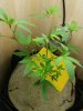 20170514_173320.jpg