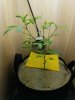20170514_174735.jpg