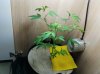 20170516_063020.jpg