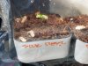 20170516_063244.jpg