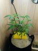 20170517_192403.jpg