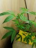 20170517_192417.jpg
