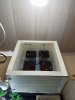 20170518_145606.jpg