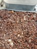 20170518_145600.jpg