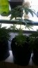 20170520_091343.jpg