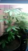 20170522_130257.jpg