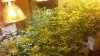 20170526_223913.jpg