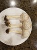 20170529_145406.jpg