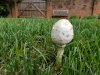 20170530_172723.jpg