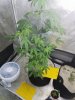 20170606_183324.jpg