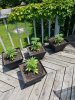 20170611_133027.jpg