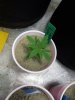 20170612_222253.jpg