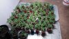 20170529_103517.jpg