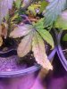IMG_20170623_230809.jpg