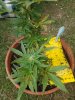20170620_190713.jpg