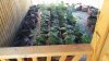 20170625_183111.jpg
