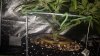 20170630_085147.jpg