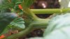 20170702_115114.jpg