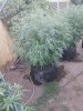 20170706_195735.jpg