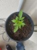 20170707_181259.jpg