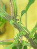 IMG_20170716_095735.jpg