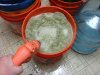 Hash_Headband_Harvest009.jpg
