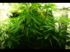 DSC00010.jpg