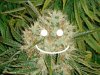 smiley.jpg