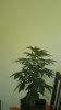 20170721_104926.jpg