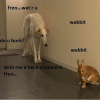 fren-wat-r-u-do-u-bork-doin-me-a-heckin-13710533.png