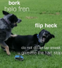 bork-helo-fren-flip-heck-do-not-do-an-up-16018948.png