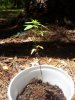 20170731_143620.jpg