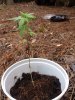 20170731_133111.jpg