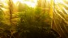 20170810_212454_HDR.jpg