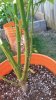 20170812_152229.jpg