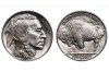 US0005-Buffalo-Nickel-1920-D-MS67-2x3-56a178f35f9b58b7d0bfa2c5.jpg