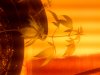 IMG-20170820-02106.jpg