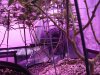 DSC01771.JPG