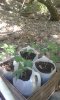 20170627_151254.jpg