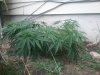 20170726_195139.jpg