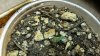 20170910_084620.jpg
