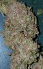 20170910_133859.jpg