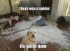 there-was-a-spider-its-gone-now-funny-pictures.jpg