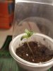 20170919_204906.jpg