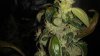 20170929_143131.jpg