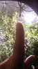 IMAG0225.jpg