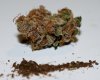 ColumbianGold-P1-Bud-FingerHash.JPG