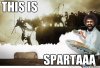 sparta_o_1137604.jpg