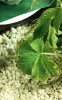 20171029_095620.jpg