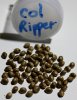 Col-Ripper-Seeds-PurpFem-1.JPG